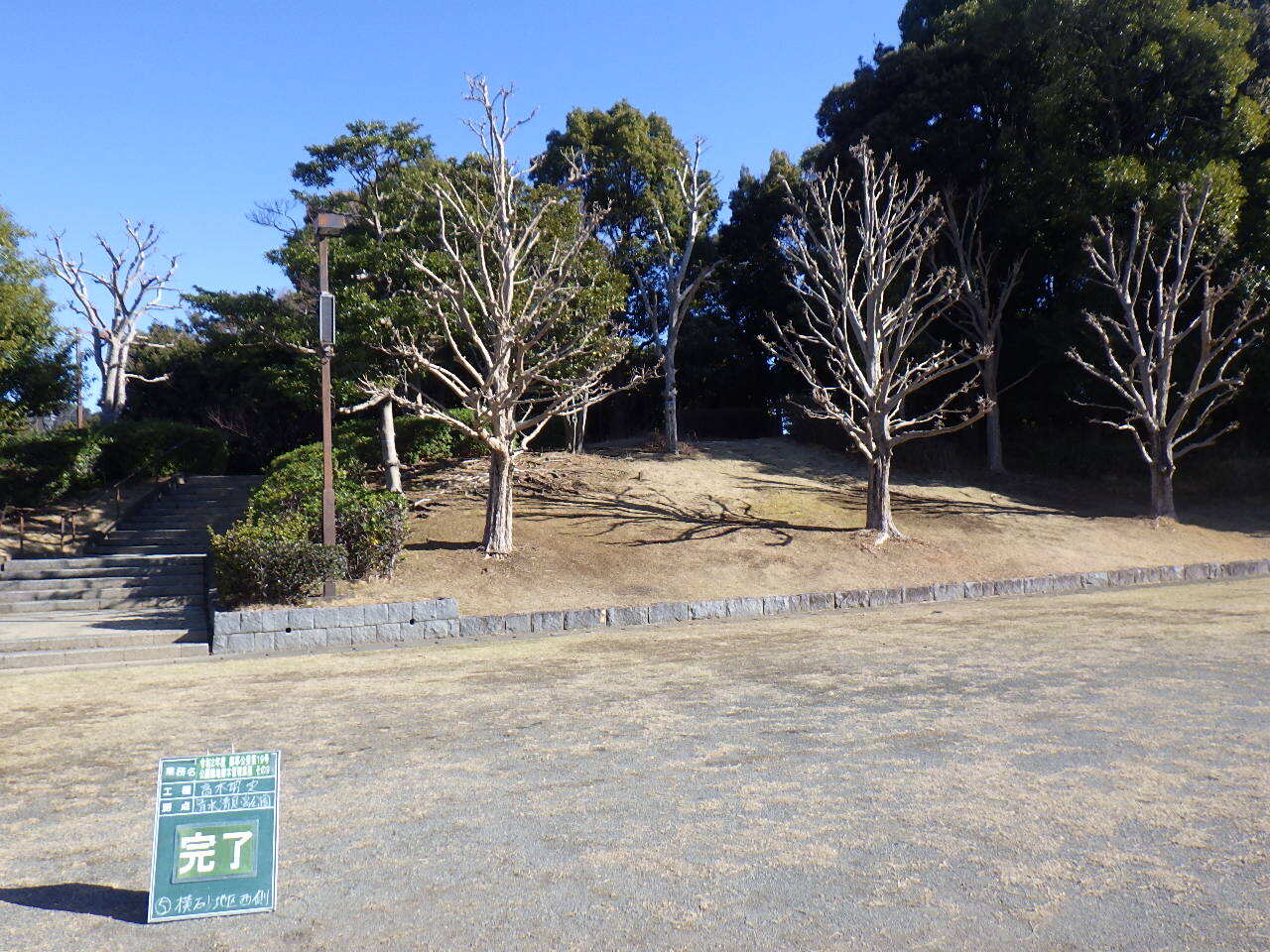 R2公園緑地樹木管理その9